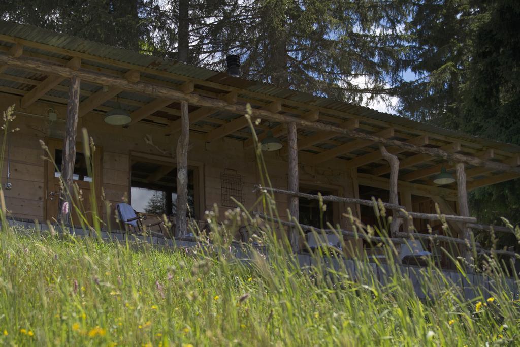 Rinderberg Swiss Alpine Lodge Цвайзимен Екстериор снимка