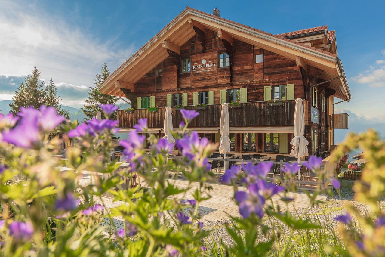 Rinderberg Swiss Alpine Lodge Цвайзимен Екстериор снимка
