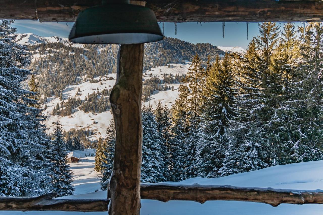 Rinderberg Swiss Alpine Lodge Цвайзимен Екстериор снимка